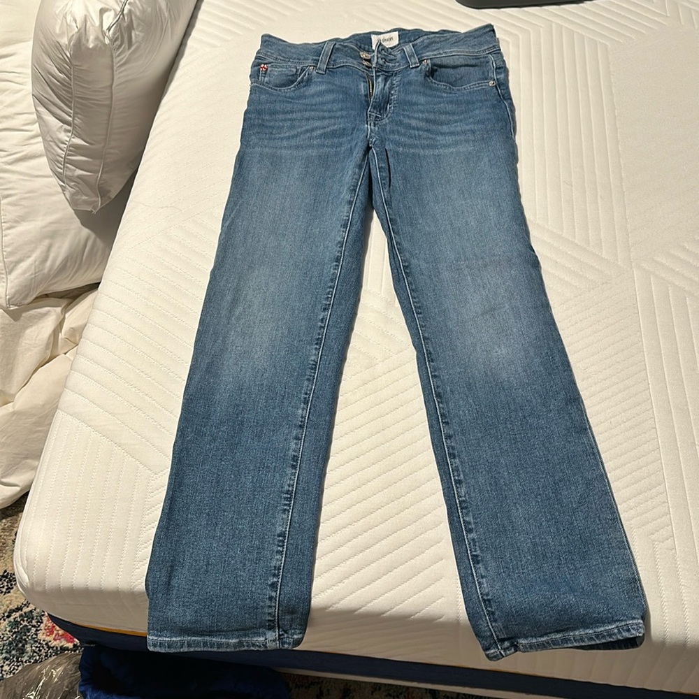 Hudson size 26 low rise, straight leg jeans